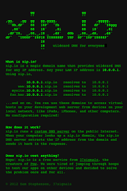 Xip Io Is A Magic Domain Name That Provides Wildcard Dns For Any Ip Address Best Hacking Tools Dns Tech Hacks