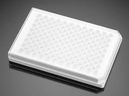 Check spelling or type a new query. Corning Biocoat Poly D Lysine 96 Well White Opaque Flat Bottom Tc Treated Microplate With Lid 5 Case 1536 Well Microplates Assay Microplates Microplates Life Sciences Eu Other Consumer Site Corning
