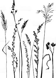 Silhouettes Of Flowers And Grass Hand Drawn Vector Illustration Drawn Flowe Blumenzeichnung Blumen Zeichnen Gras Zeichnen