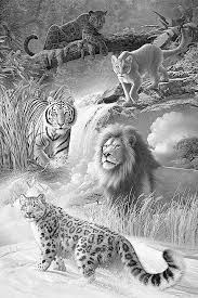 This collection includes mandalas, florals, and more. Coloring Pages Animals Realistic Beautiful Lion Tiger Puma Leopard Jaguar Coloring Realistic Animal Drawings Animals Drawing Images Pencil Drawings Of Animals