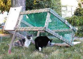 Alibaba.com offers 858 feral cat trap products. How To Build A Drop Trap This Is A Non Folding Homemade Drop Trap 2 Different Netting Options It Requires Basic Cat Traps Animal Traps Cat Feeding Station