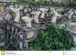 Image result for Stone Deer Gone: Out Of Woods.
