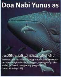 Inilah Doa Nabi Yunus Amalkan Agar Bebas Dari Kesulitan Hidup Whale Islam Animals