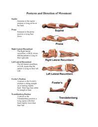 We did not find results for: Postures Direction Of Movement Studocu