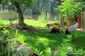 Mai 1901 zurück, als der zoo mit damals 194 tieren aus 96 arten eröffnet wurde. Zoo In Halle Saale Www Halle Entdecken De