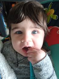 The dark blue heads are sure prominent when the sun is perfect