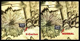 The extra trees are the result of doubled die errors. Amp Bull These Coins Were Discovered In Brilliant Uncirculated Bank Rolls Amp Bull Nice Error Coins Amp X40 A Great Pr Error Coins Coins State Quarters