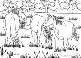 Horse crafts horse coloring pages cool coloring pages sketches digital stamps animal coloring pages coloring books free coloring pages colorful art. Free Printable Horse Coloring Pages For Kids
