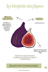 Juillet Les Fruits Et Les Legumes De Saison Du Mois Consomouslim Figues Nutrition Holistique Liste Des Fruits Et Legumes