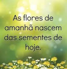 7 Ideias De Acoes Belas Cifras Amores Perfeitos Flores Amor Perfeito D a7 g d a7 g d a7 d g a7 d a7 amor perfeito existia entre nós dois, sem esperar que depois fosse tudo se. belas cifras amores perfeitos