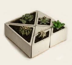 Planty Works Saksi Bitki Aranjman