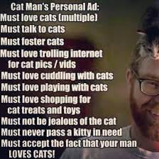 cats lovers foster cat cat pics cat treats