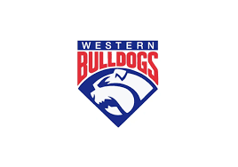 As the official instructions for the theme explain (see: Quiz Are You The Ultimate Western Bulldogs Fan Afl News Zero Hanger