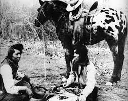 A Horse Is A Horse Breeds Common In The Old West Petticoats Pistols