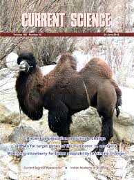 While enjoying safaris in leh ladakh you will also get a chance to enjoy beautiful landscapes, tourist attractions, and mighty peaks of greater himalayas. Pdf Double Humped Camels Of Ladakh Stranded Between The Stakeholders