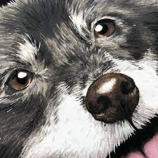 導讀 如何讓自家的狗狗固定的地點大小便 困擾著很多大初次養狗的人 其實狗 主人只要付出一點時間和精力 一周內可以基本達到目的 兩週就可以強化效果 主要的原理就是利用狗狗喜歡定點大小便的習慣 讓狗狗把他定的點轉移到廁所裡 pets dogs animals