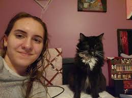 Who owns the cat by the roundabout?