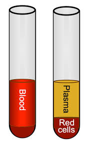Image result for Blood Volume