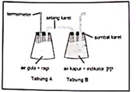 10 langkah percobaan label botol dengan nama, tanggal dan kelas, kemudian simpan selama semalam tanpa 15 hasil percobaan di gambar di samping, bisa dilihat bahwa air di gelas b terlihat lebih keruh dibandingkan dengan air di gelas a. Sekelompok Siswa Melakukan Percobaan Fermentasi Dengan Menggunakan Ragi Dan Larutan Gula Berikut Adalah Rancangan Percobaan Yang Dilakukan Blog Pak Pandani