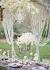 Pearly Wedding Photos
