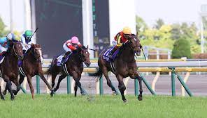 本命 ６番アストラエンブレム 9着 「新潟マイルは3戦全勝と相性〇。 北村宏司騎手は関屋記念最多タイ4勝」. Lpslzsstozudam