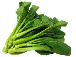 Benih Sawi Hijau Benih Sawi Tosakan Benih Sawi Putih Benih Sawi Hidroponik Hp 0856 4347 4222 Buah Bit Sayuran Sawi Hijau