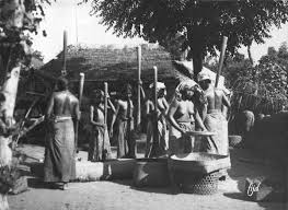 Potret Sekelompok Wanita Menumbuk Padi Di Bali 1929 Foto Zaman Dulu Bali Wanita