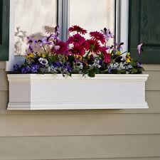 They will grow into a huge mound of large flowers in almost every color. 60 Laguna Premier Direct Mount Flower Box