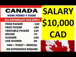 The national average salary for a lawyer is $122,844 in united states. 10 000 Cad Salary In Canada 2019 Really Youtube