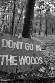 Black And White Woods Picture Don T Go In The Woods Sign Black And White Woods Forest Creepy Haunted Woods Halloween Pictures Southern Gothic