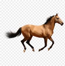 Horse Png Png Image With Transparent Background Toppng Horse png cliparts, all these png images has no background, free & unlimited downloads. horse png png image with transparent