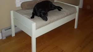 Elevated dog beds are also surprisingly portable because they are generally lightweight in their construction and they have the added bonus of durability. Pin On Dog Related