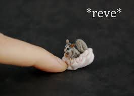 Ooak Handmade Realistic Miniature Sugar Glider Scu Sugar Glider Miniatures Handmade Miniatures