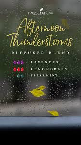 8 Diffuser Blends For Any Lavender Lover In 2020 Essential Oil Diffuser Blends Recipes Essential Oil Combinations Essential Oil Diffuser Blends