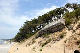 Check spelling or type a new query. Les Tresors Ensevelis De La Dune Du Pilat
