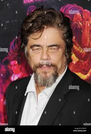 BENICIO DEL TORO Puerto Rican film actor in December 2014. Photo Jeffrey  Mayer Stock Photo