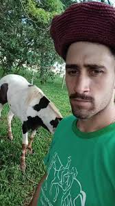 Gaucho Domando Cavalo