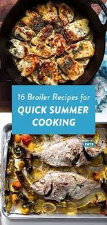 16 Broiler Recipes For Quick Summertime Cooking Recipes Cooking Seasoning For Fish
