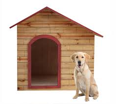 This large male labrador retriever mix is 5 years years old. Backtonest Wooden Water Proof Dog House Labrador And German Shepherd