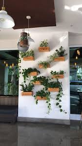 This Plant Display On The Wall Of An Outdoor Cafe In Condado Pr Gardening Garden Diy Home Flowers Roses Plant Wall Decor Plant Decor Outdoor Wall Decor