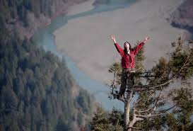 Celebsmoney has recently updated julia butterfly hill's net worth. Julia Butterfly Hill History Archeology Art Facebook