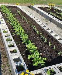 Fascinating Diy Cinder Block Garden Design Ideas Diy Raised Garden Building A Raised Garden Vegetable Garden Design