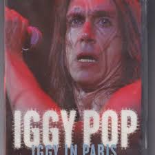 POP ROCKS, Rare 2004 DVD, Gary Cole, Sherilyn Fenn