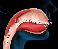 Even if you're just playing single notes on the harmonica with no special effects, tongue blocking has one advantage: Tongue Effects Harp Surgery