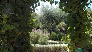 Le jardin médiéval d'uzès : Les Jardins Gardois Donnent Rendez Vous Au Public Ce Week End Midilibre Fr
