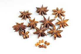 All vegetables name in hindi and english सब्जियों के नाम list of vegetables with details. Illicium Verum Wikipedia