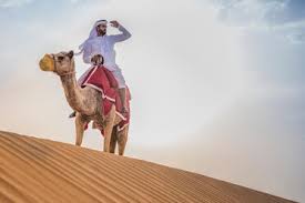 Come from the fresh organic pulps of the fruits and vegetables to deliver you with perfect, nourished health. Man Wearing Traditional Middle Eastern Clothes Riding Camel In Desert Dubai United Arab Emirates Cuf19149 Antonio Saba Westend61