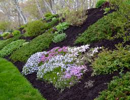 Maybe you would like to learn more about one of these? Spring Comes To Massachusetts Finegardening