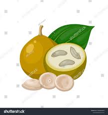 Image result for Strychnos lucens