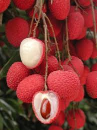 Pin On Las Frutas Mas Exoticas Y Raras